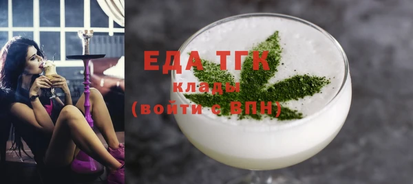 МДПВ Пересвет