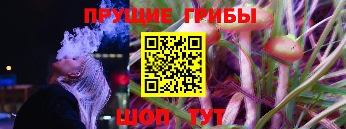 Похвистнево  Псилоцибиновые грибы прущие грибы  Галлюциногенные грибы мухоморы  Вход с VPN 